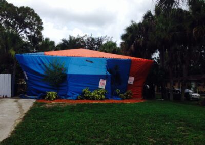 termite control services