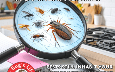 Why January Is the Perfect Time for a Home Pest Inspection in Southwest Florida